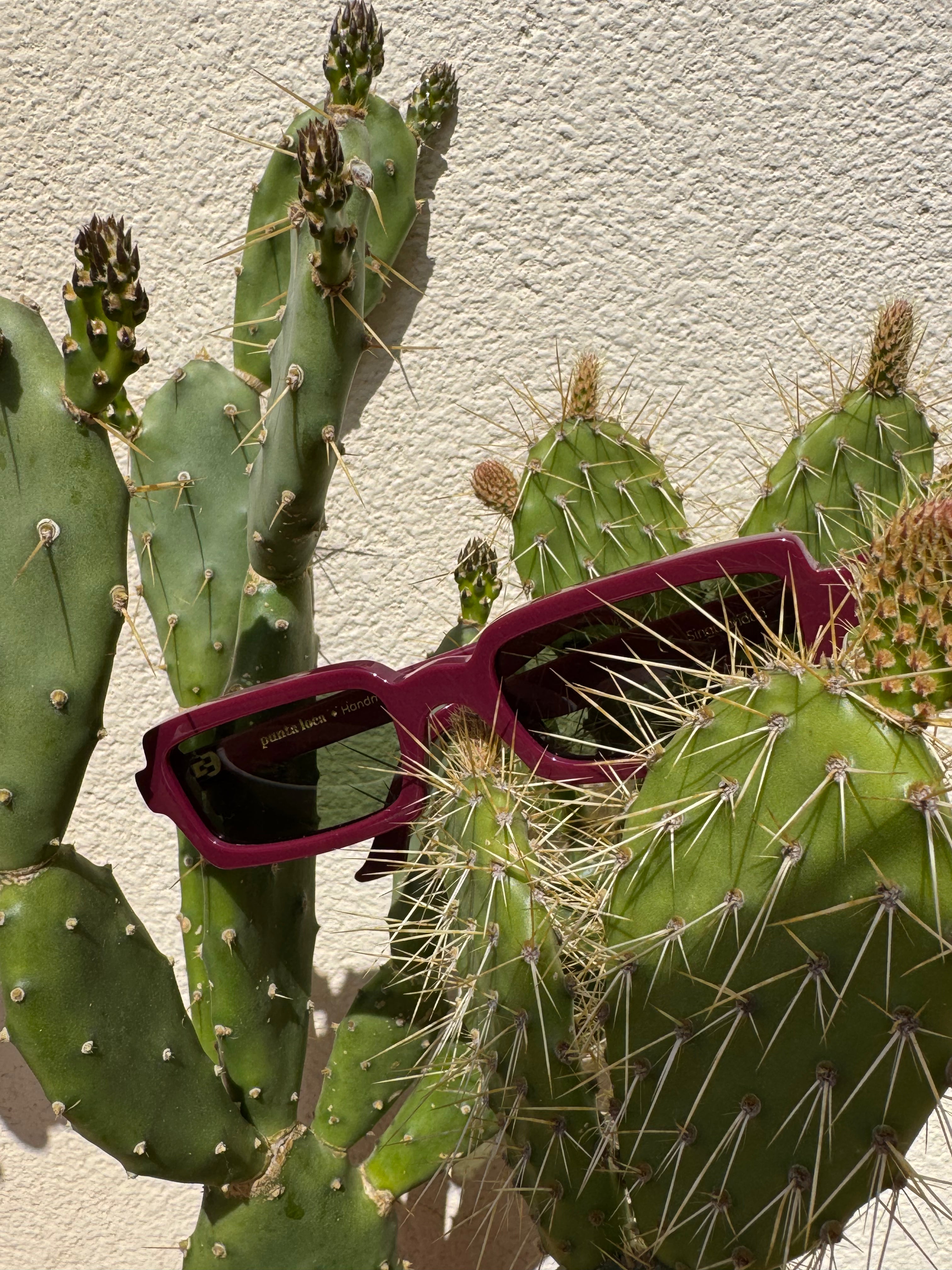 Singularidad Burgundy sunglasses - Punta Loca
