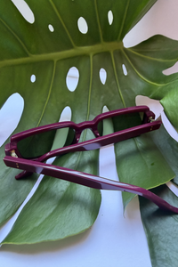 Singularidad Burgundy Sunglasses - Punta Loca 