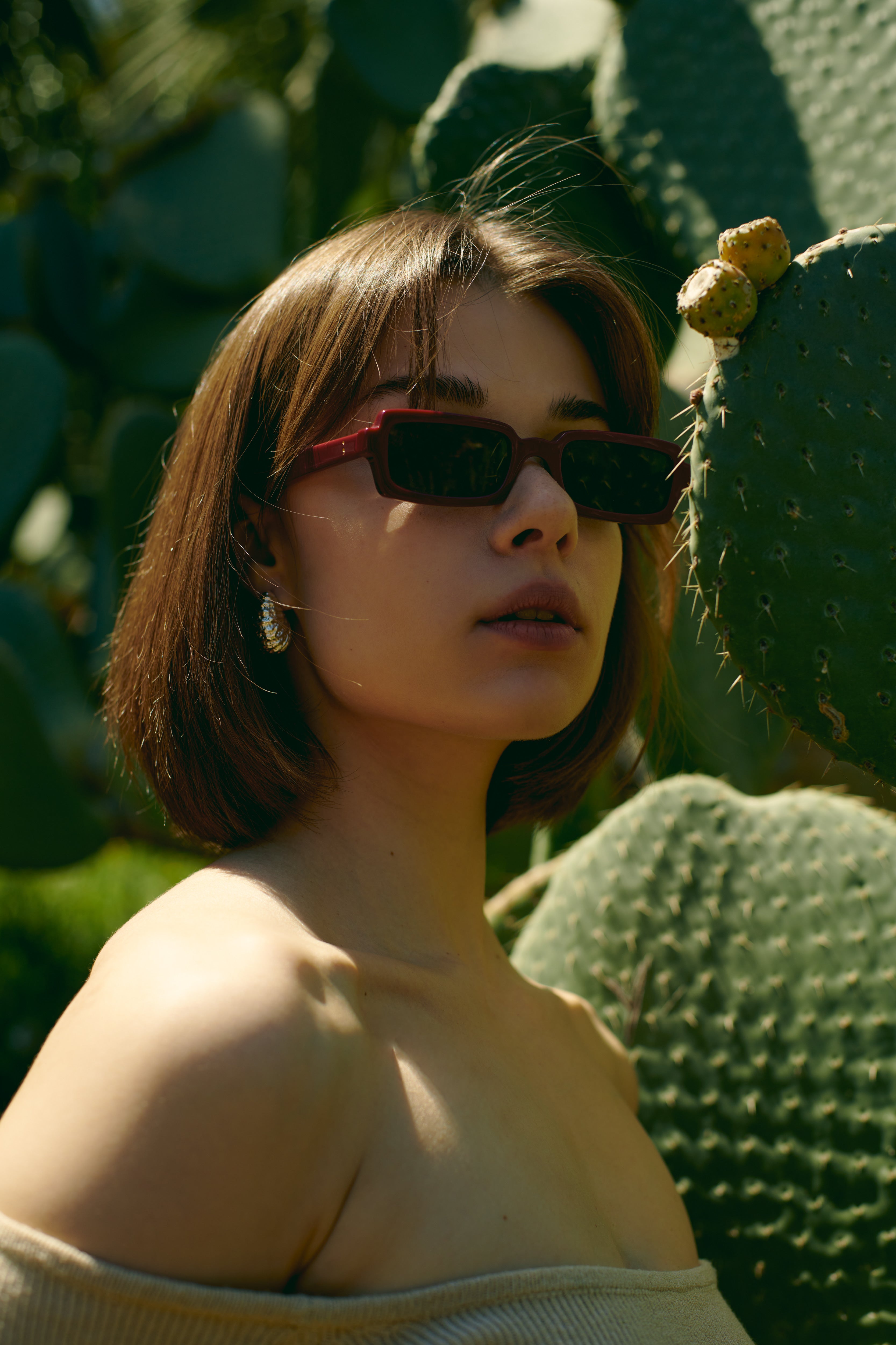Singularidad Burgundy sunglasses