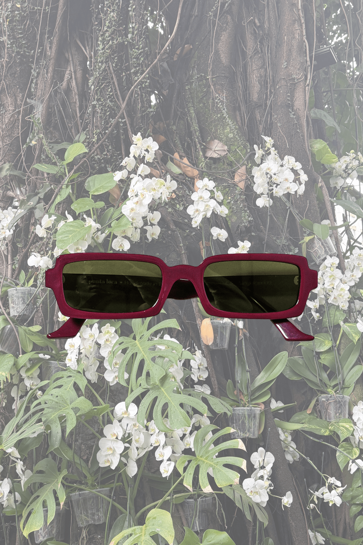 Singularidad Burgundy Sunglasses