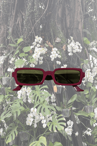 Singularidad Burgundy Sunglasses