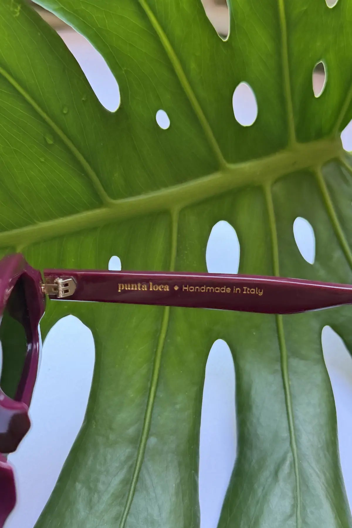Singularidad burgundy sunglasses on tropical leaf — handmade Italian eyewear by Punta Loca