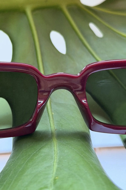 Singularidad burgundy sunglasses on leaf — handmade Italian eyewear, recycled acetate by Punta Loca